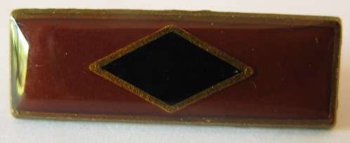 NO. 2195)  S.W.A. BERET COLOUR BARS - 2 PINS.