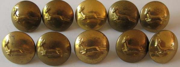 NO. 2192)  S.A.D.F. BRASS BOKKIE BUTTONS SOLD IN LOTS OF 10.