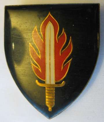 NO. 2887)  11 COMMANDO SHOULDER FLASH - ORIGINAL - 3 PINS - USED.