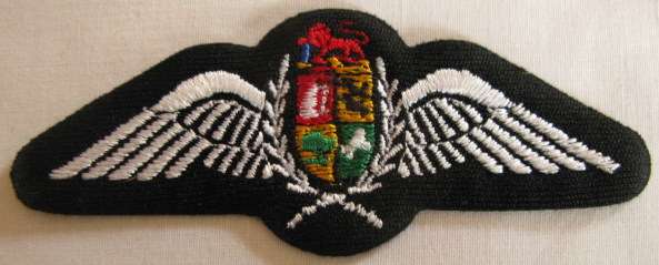 NO. 2827)  PILOT WINGS - LESS THAN 2000 HOURS FLYING TIME - 1993-2003.