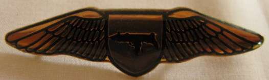 NO. 4013)  SA RAILWAY POLICE METAL WING WORN BY REGIONAL TASK FORCE - ORIGINAL - 2 PINS.