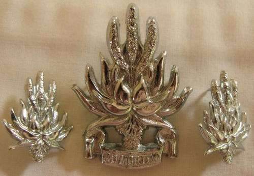 NO. 3731)  S.A. MILITARY INTELLIGENCE CORPS CHROMED CAP + 2 COLLAR BADGES.  ALL 3 WITH STUDS.
