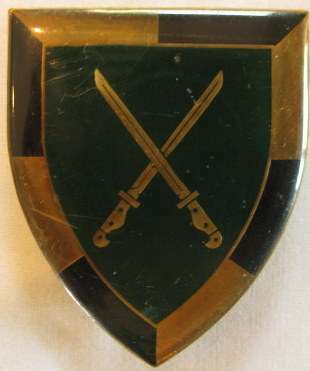 3372) SA INFRANTRY SCHOOL SHOULDER FLASH ORIGINAL WITH 3 PINS