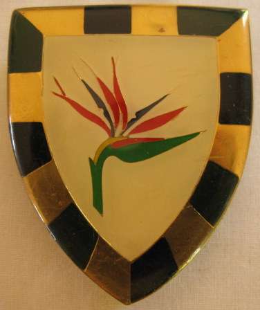 NO. 3392)  6 S.A. INFANTRY BN. GOLD TYPE 2ND ISSUE SHOULDER FLASH.  ORIGINAL 3 PINS.