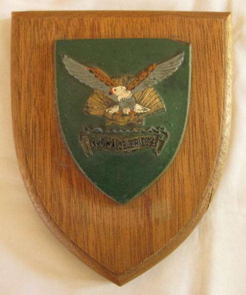 NO. 4528)  DURBAN REGT. WALL PLAQUE.