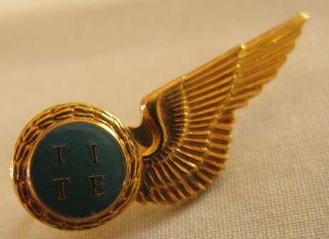 NO. 4539)  SAAF - TECHNICAL ENGINEERS MESS DRESS HALF WING - 2 PINS.