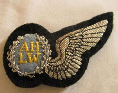 NO. 4495)  SAAF - AIR HOSTESS (LUGWAARDIN) SILVER WIRE EMBROIDERED WING.