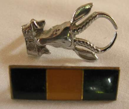 NO. 4701)  1 RECCE REGT - 1981 - SMALL SPRINGBOK HEAD IN CHROME WAS WORN BY 1 RECCE.