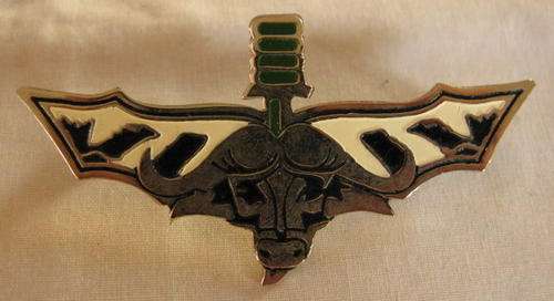 NO. 5690)  32 BATTALION RECCE WING METAL COPY.  2 PINS.  ESTABLISHED 1975.