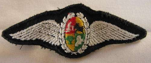 SAAF - PILOTS WINGS 1960'S.  PADDED CENTRE WITH 2 PINS.