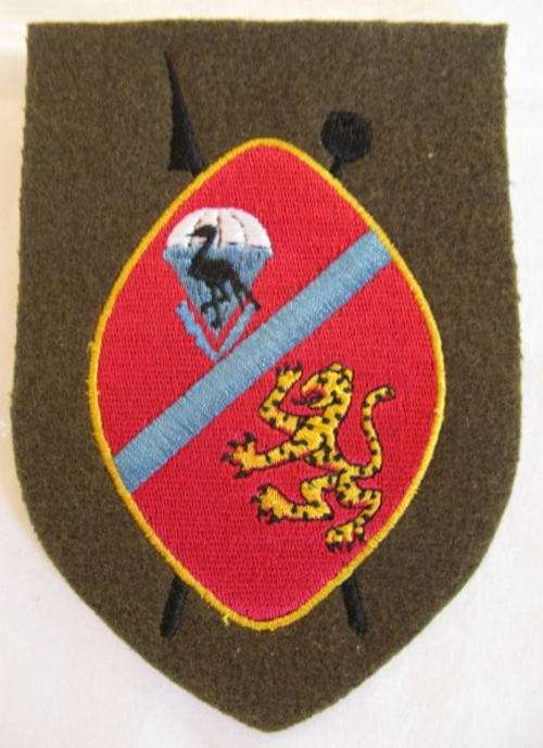 PARA - CISKEI PARACHUTE TRAINING SCHOOL STEPOUT DRESS ARM PATCH