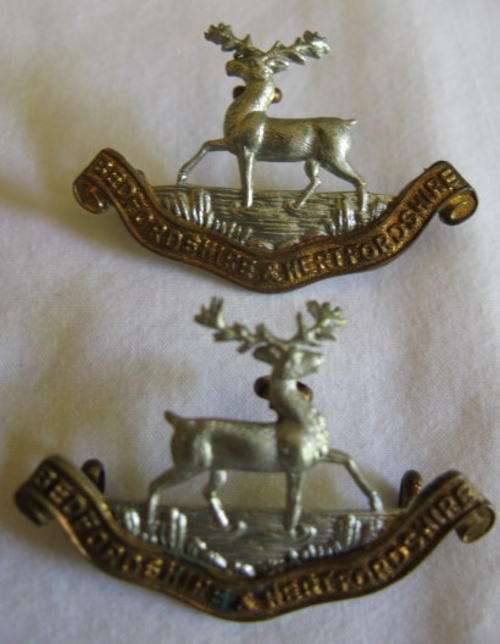 HERFORDSHIRE & BEDFORSHIRE REGT. PAIR OF BI/METAL COLLAR BADGES - LUGS INTACT.