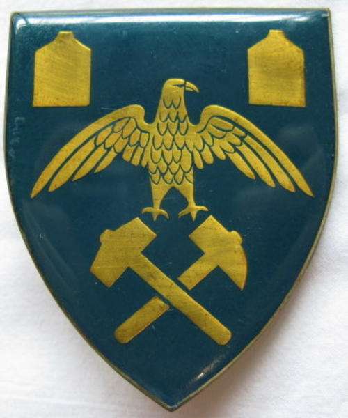FLASH - REGT. PRESIDENT KRUGER - ORIGINAL SHOULDER FLASH - 2 PINS.