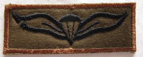PARACHUTE WINGS - FIELD DRESS 1980'S - 90'S.  EMBROIDERED ON NUTRIA WITH LIGHT BROWN BORDER.
