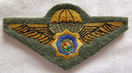 SA POLICE TASK FORCE PARA WINGS - EMBROIDERED.