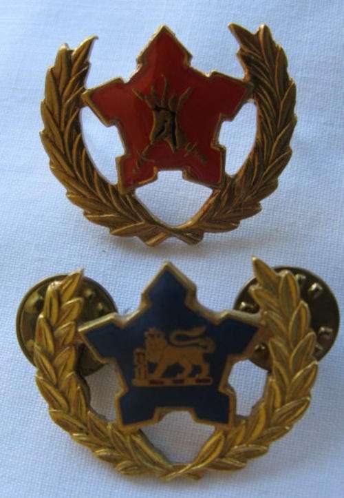 SA NAVY & SA ARMY VOLUNTEER BADGES.  SOLD TOGETHER.  BOTH WITH 2 PINS.