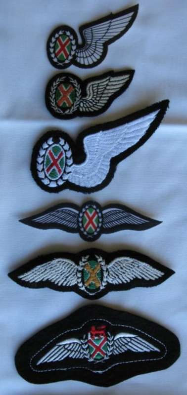 SAAF COMMANDO PILOTS & NAVIGATOR WING COLLECTION.