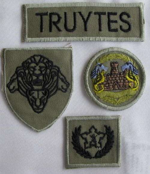 SANDF - SELECTION OF EMBROIDERED BADGES.  NAME TAG / PRIDE OF LIONS PATCH / 5 YEAR VOL BADGE / DURBA