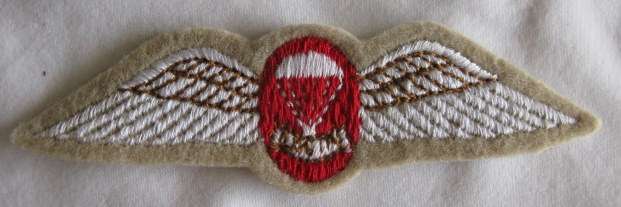 SADF - PARA 1ST VARIANT OF FREE FALL INSTRUCTORS WING - 1970'S