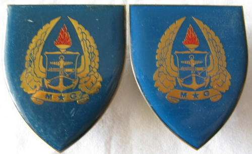 ARMY GYMNASIUM FLASH - PAIR - PINS INTACT