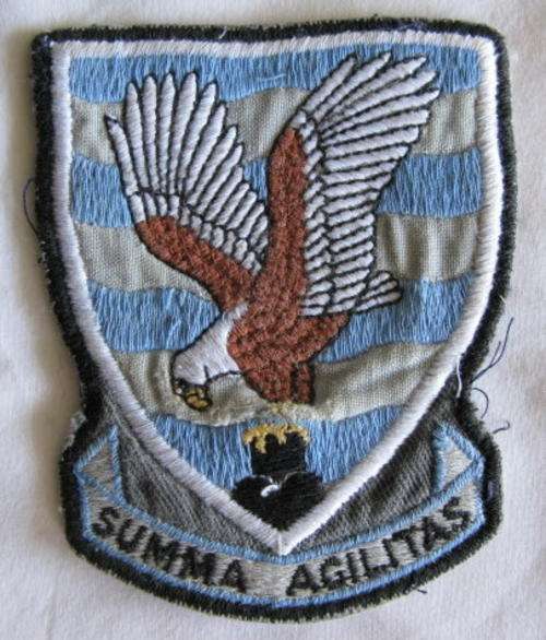30 SQUADRON PATCH WORN 1980 - 1991 ON RIGHT UPPER ARM.