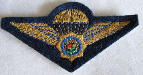 PARA - SA POLICE TASK FORCE PARA WING, FIELD DRESS - EMBROIDERED ON BLUE FELT.