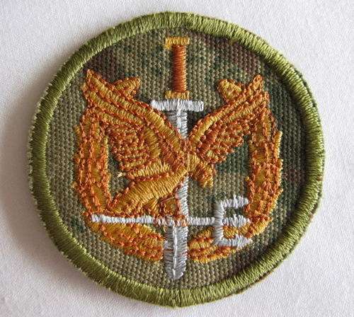 SA POLICE SPECIAL TASK FORCE CAMO FIELD DRESS CAP BADGE