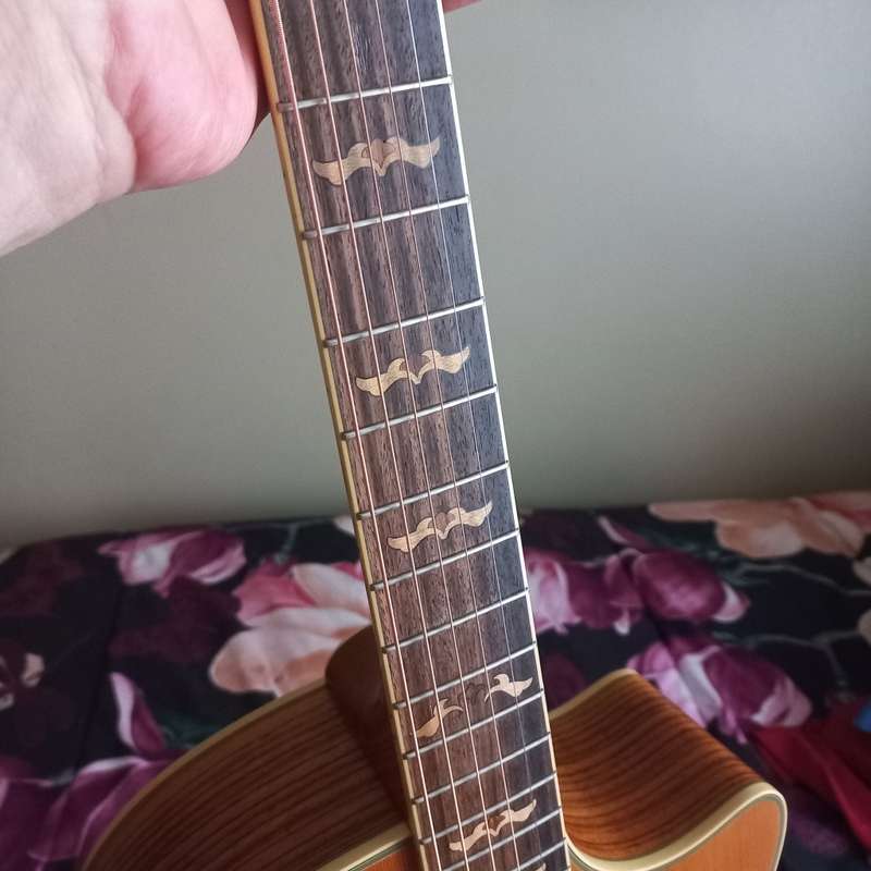 Crafter GAE18/N Grand Auditorium Acoustic/Electric Guitar Fair Condition!!