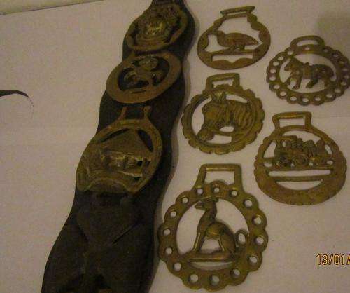 HORSE BRASS