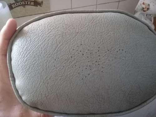 Old SAR train carrage cushion