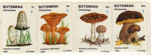 BOTSWANA 1982 CHRISTMAS FUNGI SET OF 4 U.M.M. SG 533-6. CAT 18 POUNDS.