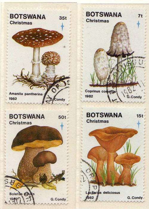 BOTSWANA 1982 CHRISTMAS FUNGI SET OF 4 V.F.U. SG 533-6. CAT 9,75 POUNDS.