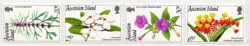 ASCENSION 1995 "FLOWERS" SET OF 4 U.M.M. SG 643-46. CAT 12,25 POUNDS.