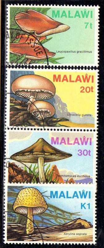 MALAWI 1985 "FUNGI" SET OF 4 V.F.U. SG 720-23. CAT 11 POUNDS.