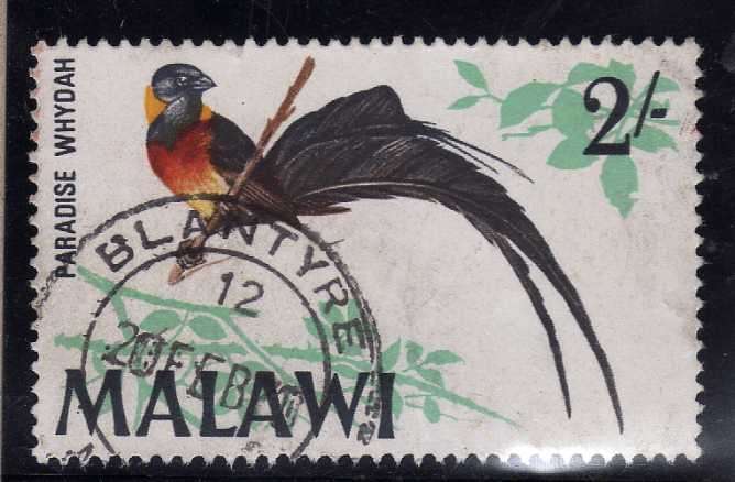 MALAWI 1968 BIRD DEFIN 2/- "PARADISE WHYDAH" V.F.U. SG 318. CAT 8 POUNDS.