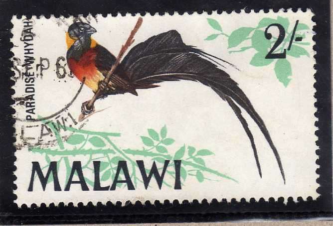 MALAWI 1968 BIRD DEFIN 2/- "PARADISE WHYDAH" V.F.U. SG 318. CAT 8 POUNDS.