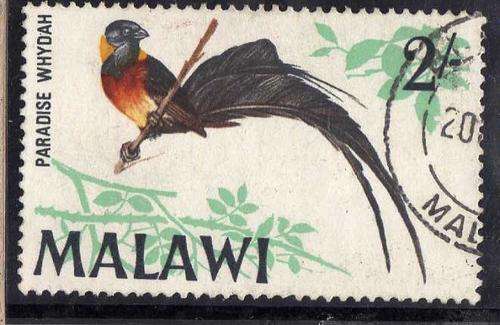 MALAWI 1968 BIRD DEFIN 2/- "PARADISE WHYDAH" V.F.U. SG 318. CAT 8 POUNDS.