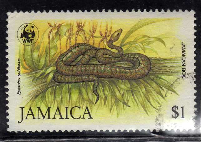 JAMAICA 1984 "BOA SNAKE" $1 VFU. SG 610. CAT 5 POUNDS.