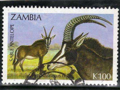 ZAMBIA 1992 "SABLE ANTELOPE" K100 VFU. SG 703. CAT 5,50 POUNDS.
