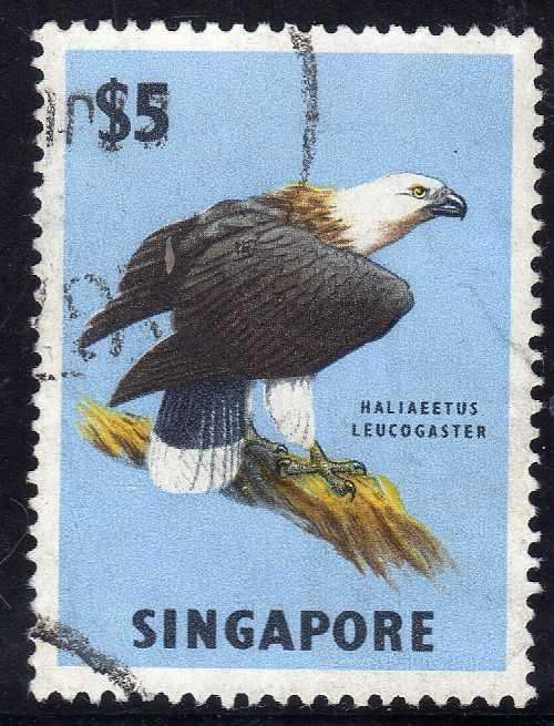 SINGAPORE 1962 DEFIN $5 "SEA EAGLE" VFU. SG 77. CAT 8,50 POUNDS.