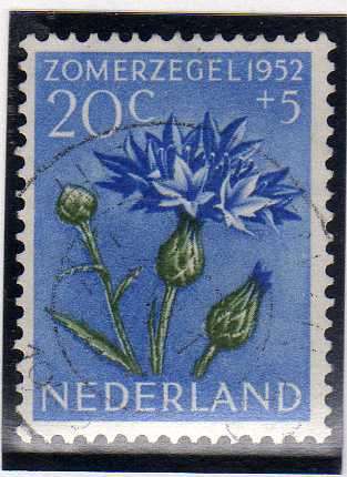 NETHERLANDS 1952 RELIEF FUND 20c + 5c VFU. SG 753. CAT 11,50 POUNDS.