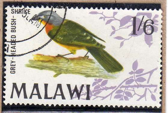 MALAWI 1968 BIRD DEFIN 1/6d V.F.U. SG 317. CAT 8 POUNDS.
