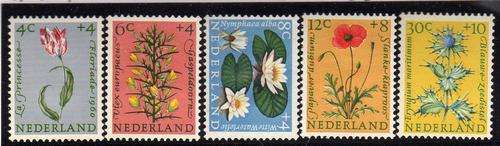NETHERLANDS 1960 RELIEF FUND SET OF 5 MM. SG 893-897. CAT 25,50 POUNDS.
