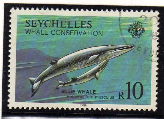 SEYCHELLES 1984 "BLUE WHALE" R10 VFU. SG 604. CAT 9 POUNDS.