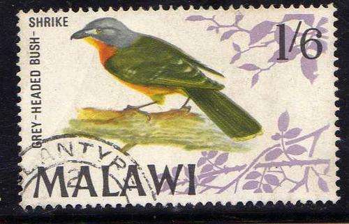 MALAWI 1968 BIRD DEFIN 1/6d V.F.U. SG 317. CAT 8 POUNDS.
