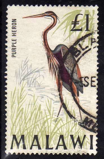 MALAWI 1968 BIRD DEFIN 1 POUND V.F.U. SG 322. CAT 18 POUNDS.