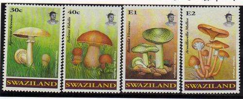 SWAZILAND 1994 "FUNGI" SET OF 4 UMM. SG 638-41. CAT 7,50 POUNDS.