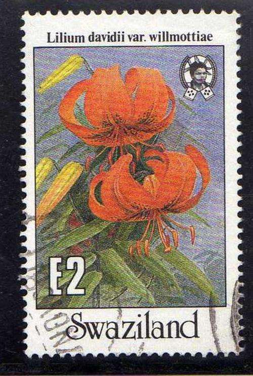 SWAZILAND 1987 "GARDEN FLOWERS" E2 VFU. SG 536. CAT 12 POUNDS.