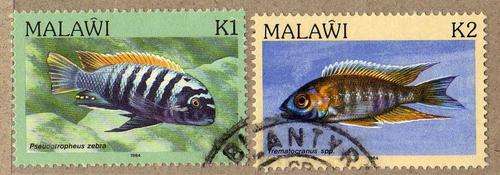 MALAWI 1984 "FISH" K1 + K2 VFU. SG 700-701. CAT 12 POUNDS.