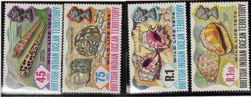 BRITISH INDIAN OCEAN TERRITORY 1974 "SHELLS" SET OF 4 L.M.M. SG 58-61. CAT 10,50 POUNDS